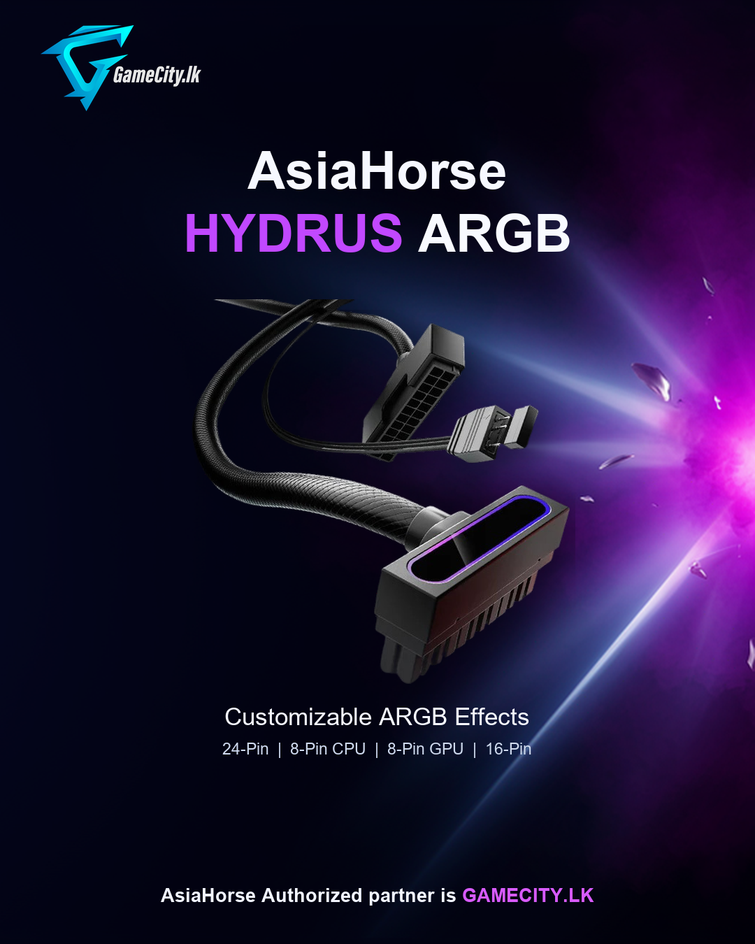 ASIAHORSE HYDRUS 24PIN POWER EXTENSION CABLE BLACK 30cm
